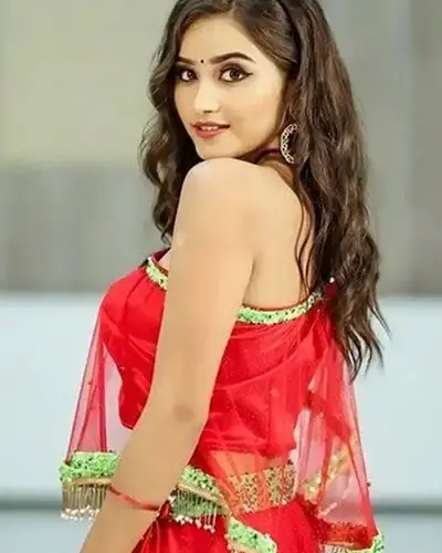 Escort In Medavakkam